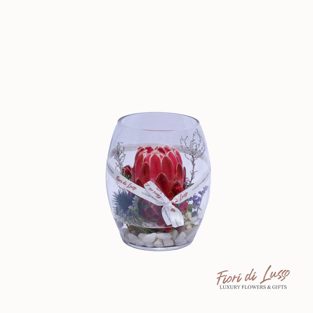 Single Protea in a Bowl