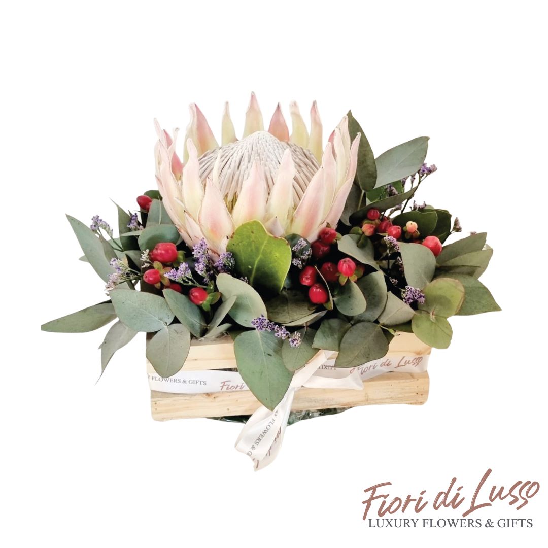 King Protea in a Wooden Box with Greenery