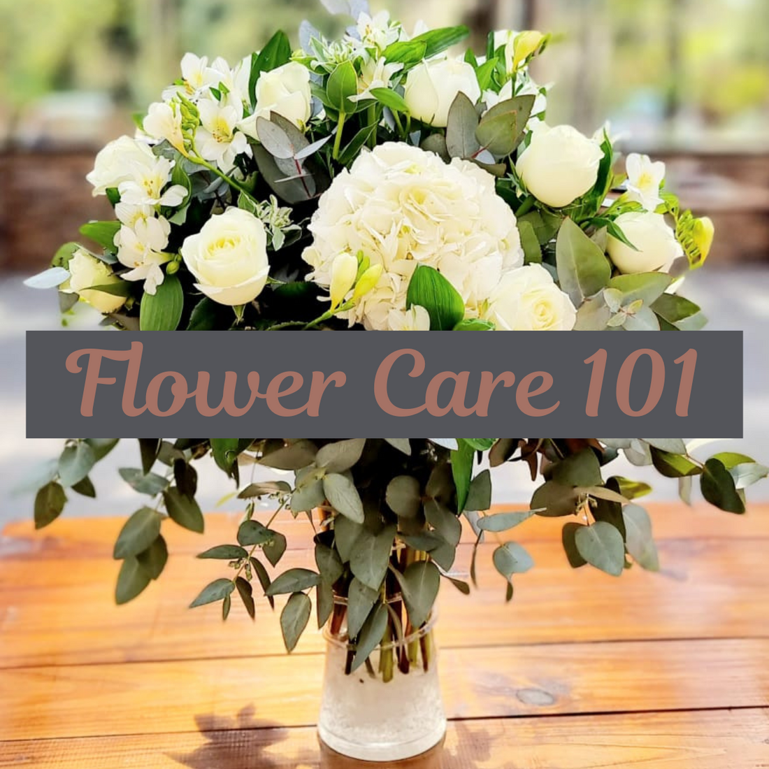 Flower Care 101: Tips to Keep Your Blooms Fresh and Beautiful